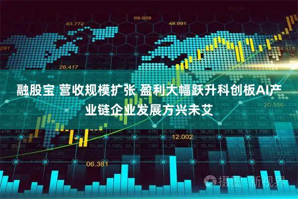 融股宝 营收规模扩张 盈利大幅跃升科创板AI产业链企业发展方兴未艾
