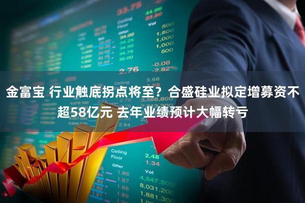 金富宝 行业触底拐点将至？合盛硅业拟定增募资不超58亿元 去年业绩预计大幅转亏