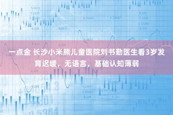 一点金 长沙小米熊儿童医院刘书勤医生看3岁发育迟缓，无语言，基础认知薄弱